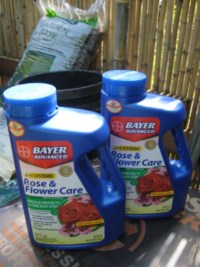 Bayer bamboo mite control